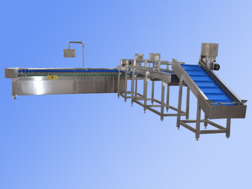 Fruit and vegetable sorting line